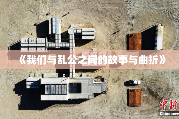 《我们与乱公之间的故事与曲折》