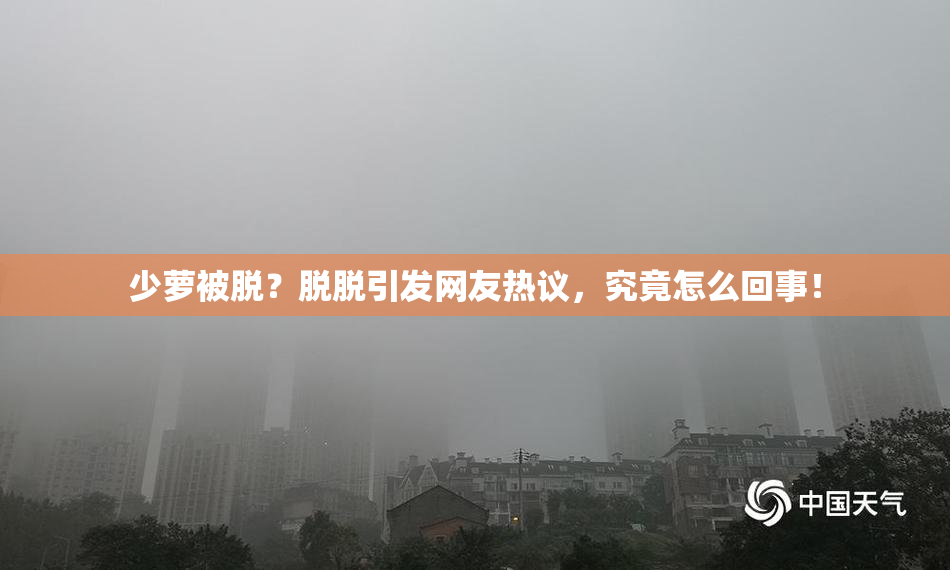 少萝被脱？脱脱引发网友热议，究竟怎么回事！