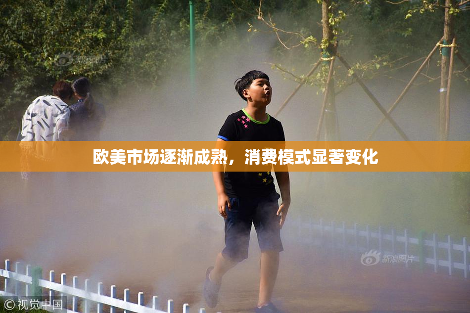欧美市场逐渐成熟，消费模式显著变化