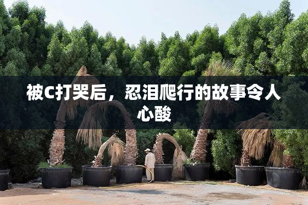 被C打哭后，忍泪爬行的故事令人心酸