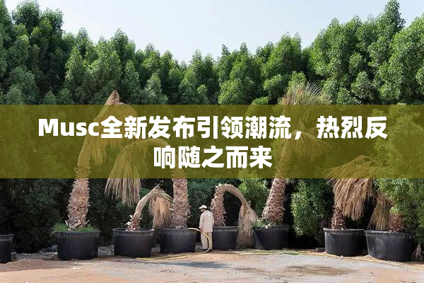 Musc全新发布引领潮流，热烈反响随之而来