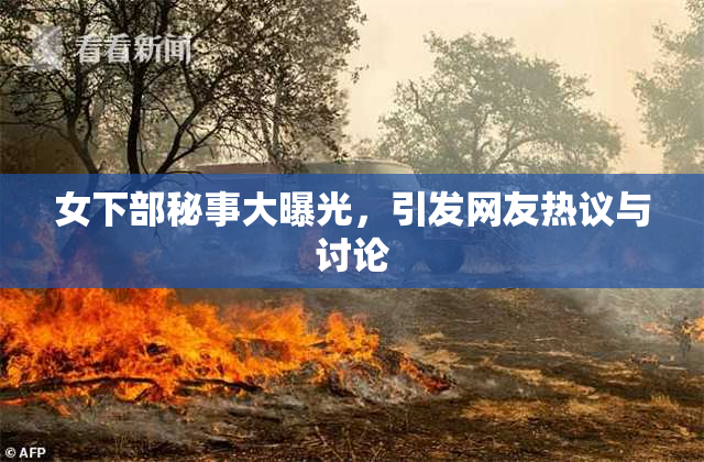 女下部秘事大曝光，引发网友热议与讨论
