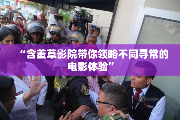 “含羞草影院带你领略不同寻常的电影体验”