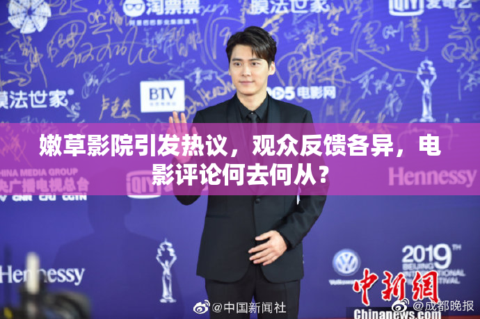 嫩草影院引发热议，观众反馈各异，电影评论何去何从？