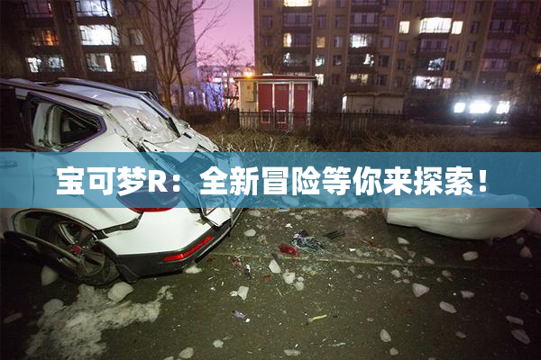 宝可梦R：全新冒险等你来探索！