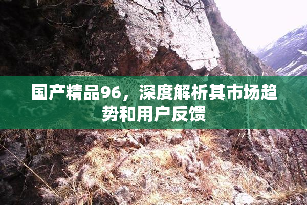 国产精品96，深度解析其市场趋势和用户反馈