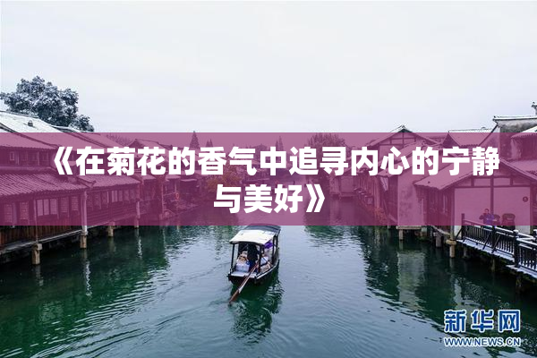 《在菊花的香气中追寻内心的宁静与美好》