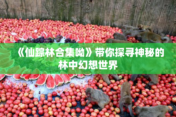《仙踪林合集呦》带你探寻神秘的林中幻想世界