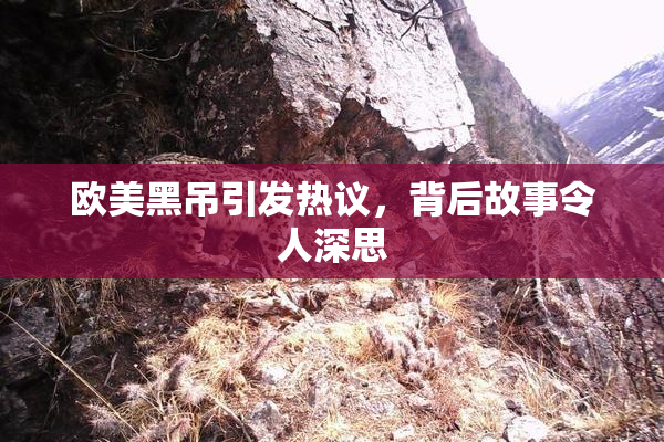 欧美黑吊引发热议，背后故事令人深思