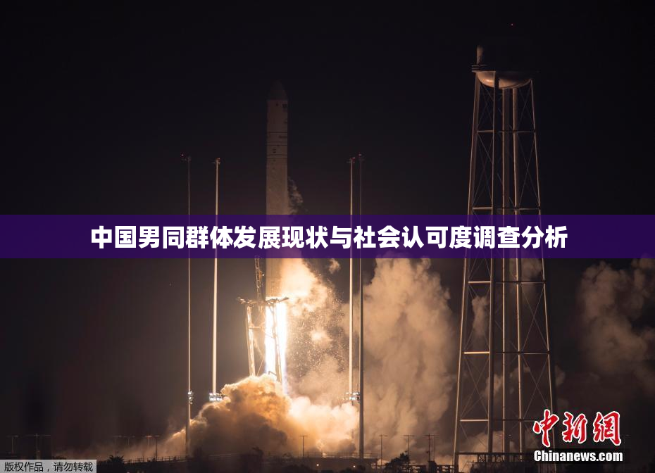 中国男同群体发展现状与社会认可度调查分析