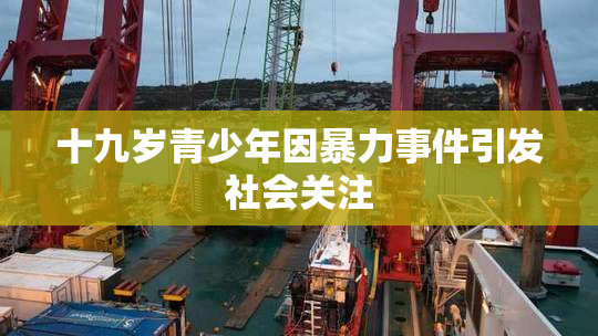 十九岁青少年因暴力事件引发社会关注