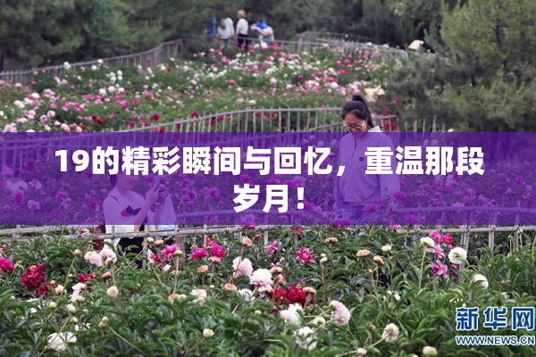 19的精彩瞬间与回忆，重温那段岁月！