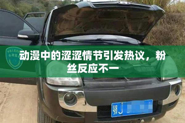 动漫中的涩涩情节引发热议，粉丝反应不一