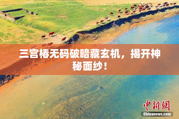 三宫椿无码破暗藏玄机，揭开神秘面纱！