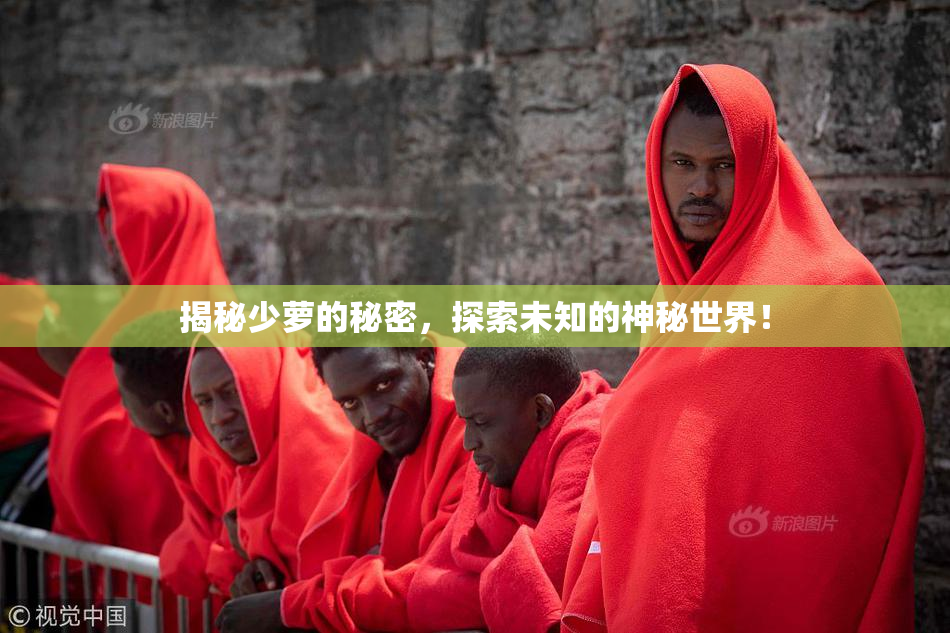 揭秘少萝的秘密，探索未知的神秘世界！