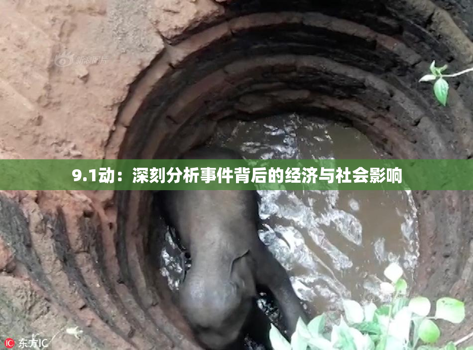 9.1动：深刻分析事件背后的经济与社会影响