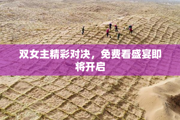 双女主精彩对决，免费看盛宴即将开启