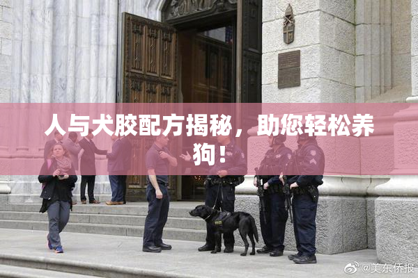 人与犬胶配方揭秘，助您轻松养狗！