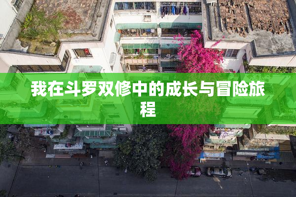 我在斗罗双修中的成长与冒险旅程