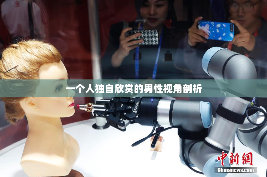 一个人独自欣赏的男性视角剖析
