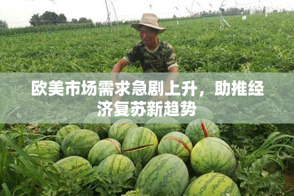 欧美市场需求急剧上升，助推经济复苏新趋势
