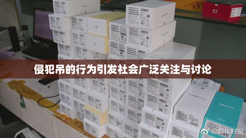 侵犯吊的行为引发社会广泛关注与讨论