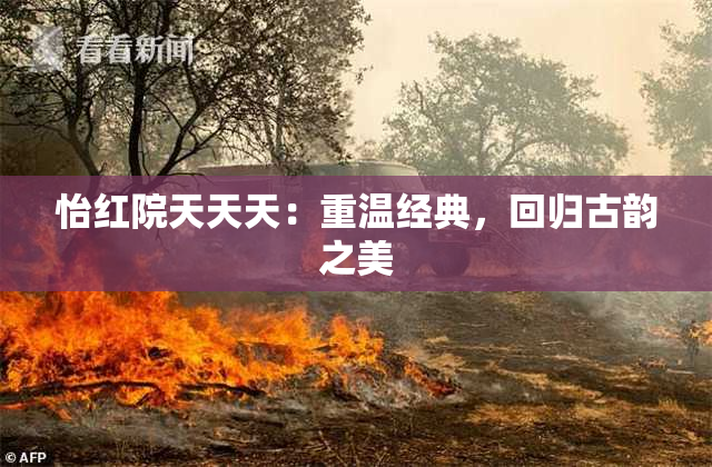 怡红院天天天：重温经典，回归古韵之美