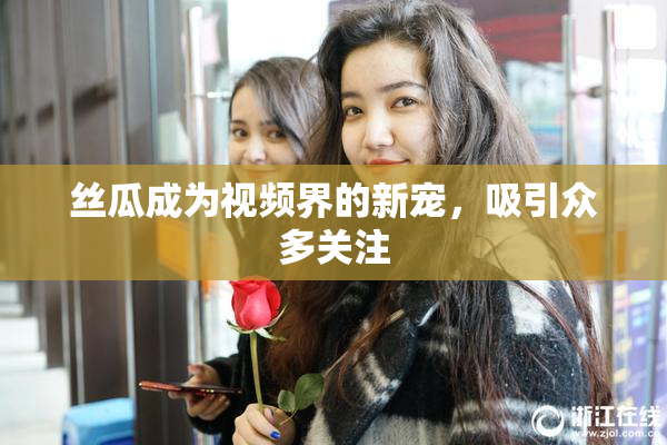 丝瓜成为视频界的新宠，吸引众多关注