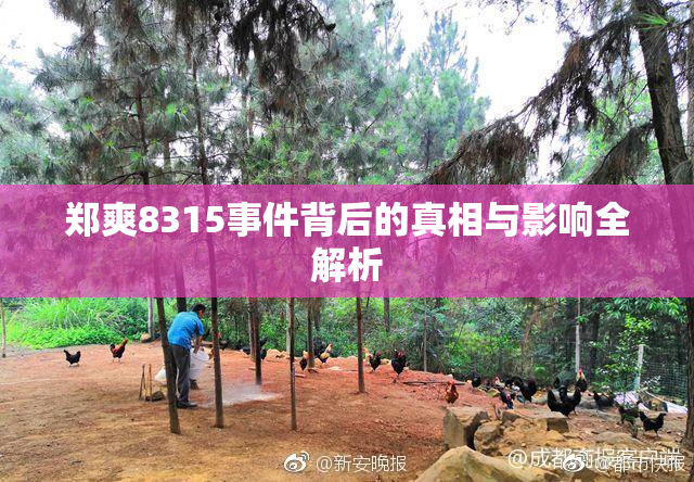 郑爽8315事件背后的真相与影响全解析