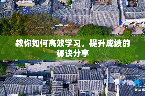 教你如何高效学习，提升成绩的秘诀分享