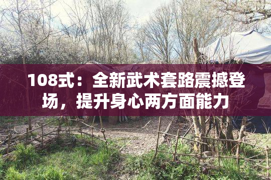 108式：全新武术套路震撼登场，提升身心两方面能力
