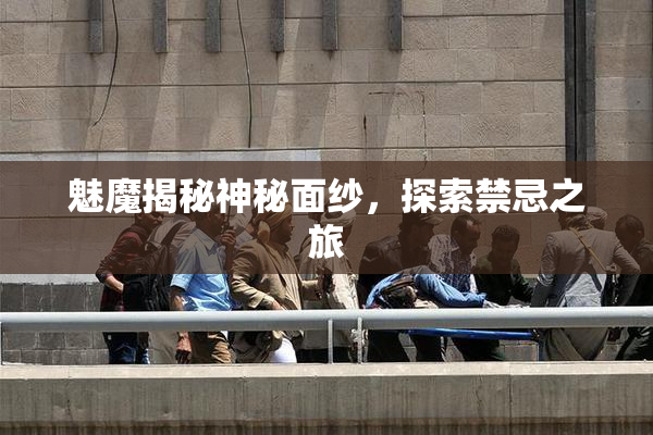 魅魔揭秘神秘面纱，探索禁忌之旅