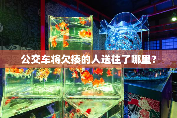公交车将欠揍的人送往了哪里？