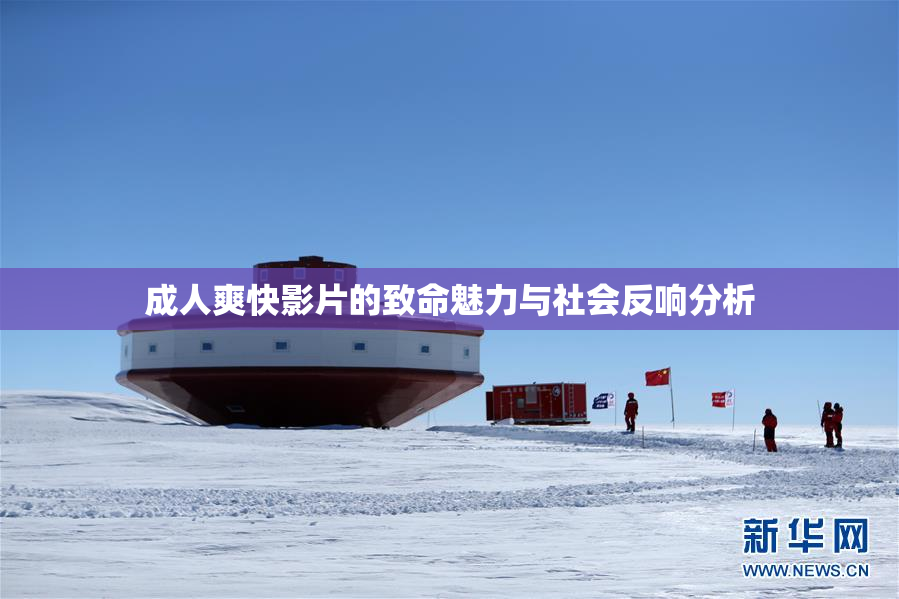 成人爽快影片的致命魅力与社会反响分析