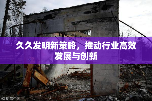 久久发明新策略，推动行业高效发展与创新