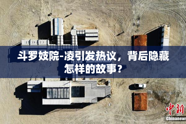斗罗妓院-凌引发热议，背后隐藏怎样的故事？