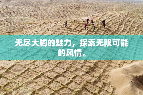 无尽大胸的魅力，探索无限可能的风情。