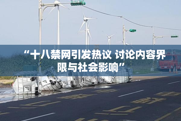 “十八禁网引发热议 讨论内容界限与社会影响”