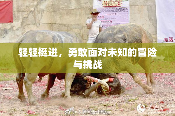 轻轻挺进，勇敢面对未知的冒险与挑战
