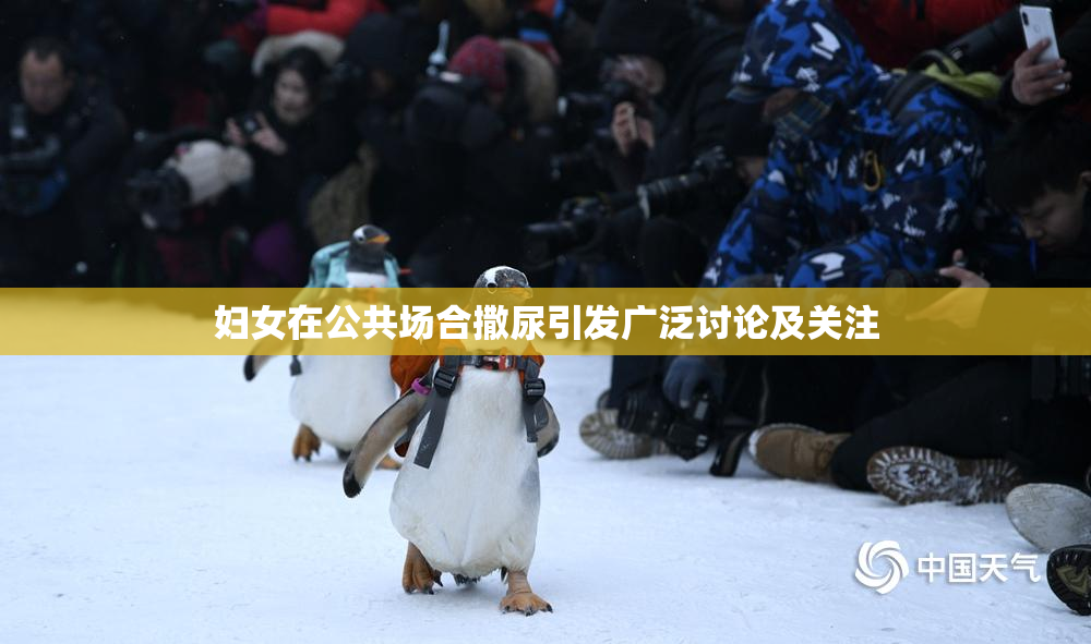 妇女在公共场合撒尿引发广泛讨论及关注