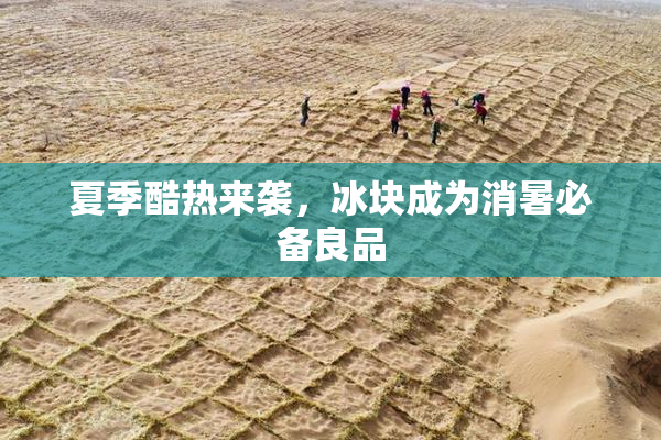 夏季酷热来袭，冰块成为消暑必备良品