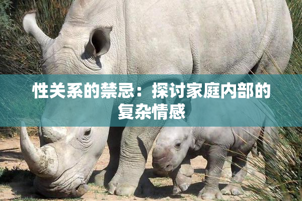 性关系的禁忌：探讨家庭内部的复杂情感