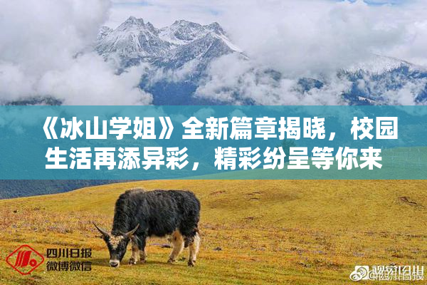 《冰山学姐》全新篇章揭晓，校园生活再添异彩，精彩纷呈等你来探！