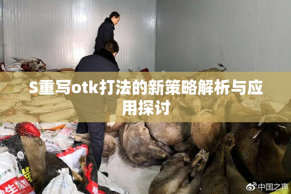 S重写otk打法的新策略解析与应用探讨