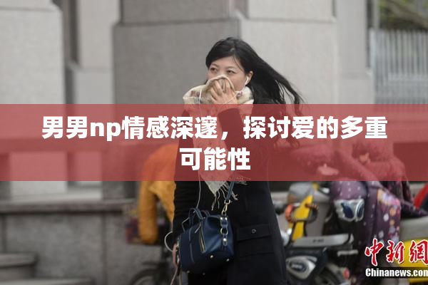 男男np情感深邃，探讨爱的多重可能性
