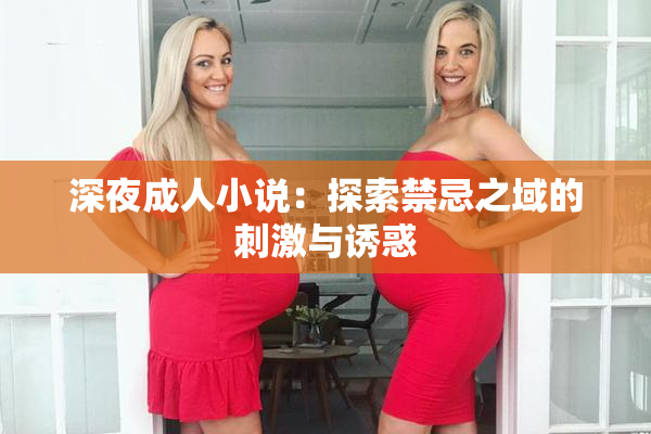 深夜成人小说：探索禁忌之域的刺激与诱惑