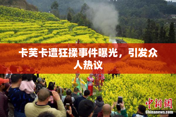 卡芙卡遭狂揉事件曝光，引发众人热议
