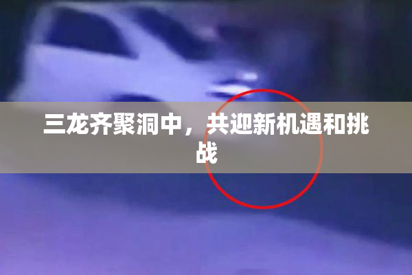 三龙齐聚洞中，共迎新机遇和挑战
