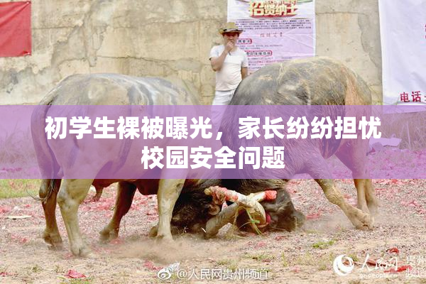 初学生裸被曝光，家长纷纷担忧校园安全问题