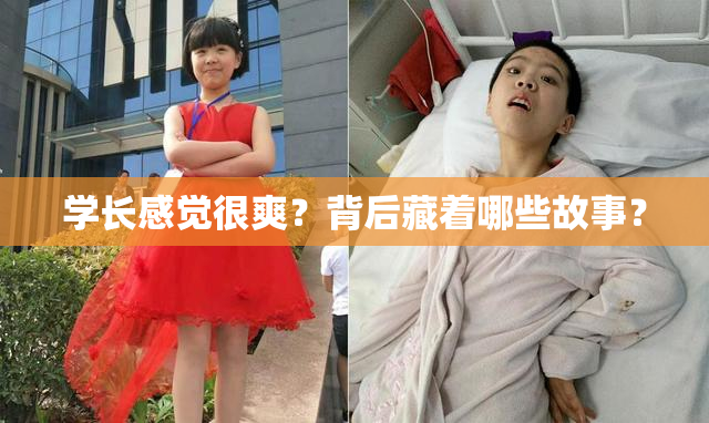 学长感觉很爽？背后藏着哪些故事？